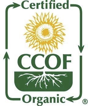 McCabe Organic Black Bean Tea - Roasted Black Beans Tea | USDA and CCOF Certified | Roasted and Packed in USA | 1.75 lbs (28 Oz)