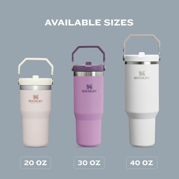 STANLEY IceFlow 2.0 Flip Straw Tumbler with Handle 30 oz | Twist On Lid and Flip Up Straw | Leak Resistant Water Bottle | Insulated Stainless Steel | BPA-Free | Pistachio
