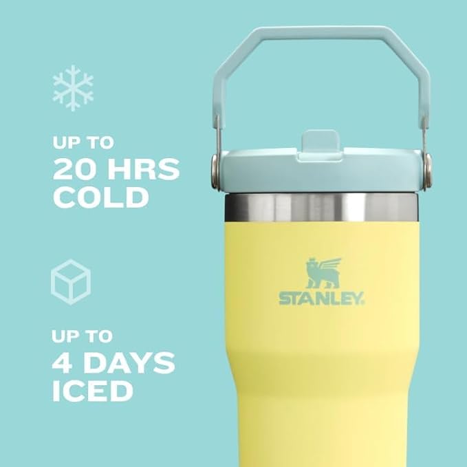 STANLEY IceFlow 2.0 Flip Straw Tumbler with Handle 20 oz | Twist On Lid and Flip Up Straw | Leak Resistant Water Bottle | Insulated Stainless Steel | BPA-Free | Lilac