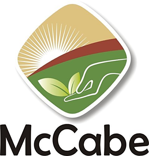 McCabe Organic White Quinoa Flour - Quinoa Flour Organic | Rich with Fiber & Minerals | USDA and CCOF Certified | Packed in USA | 2Lbs