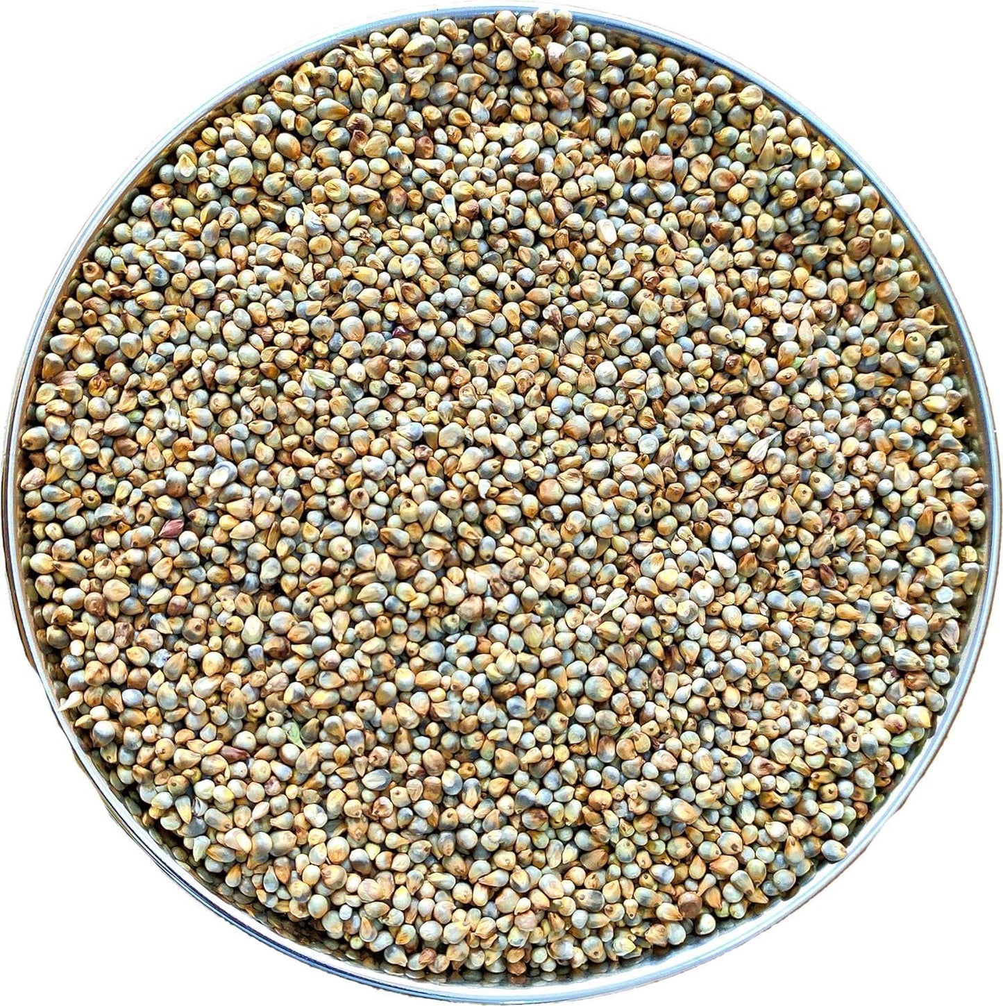 Yamkay Pearl Millet Flour (Bajra Atta) - Naturally Gluten-Free Bajra Flour & Kambu Flour, High-Fiber, Nutritious Grain for Healthy Cooking & Baking (1500 GM)